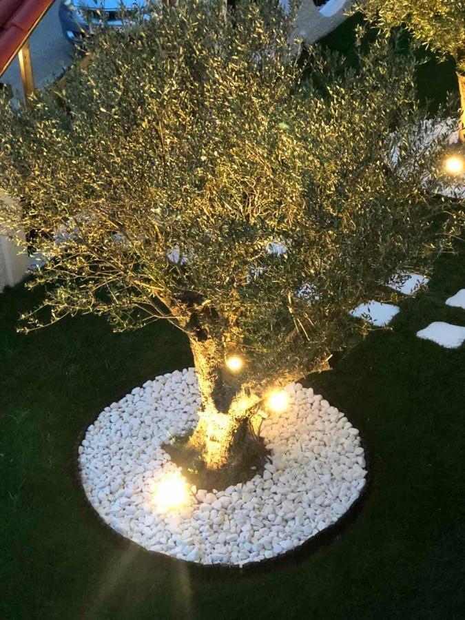 Amaryllis Luxury Rooms Platamon Dış mekan fotoğraf